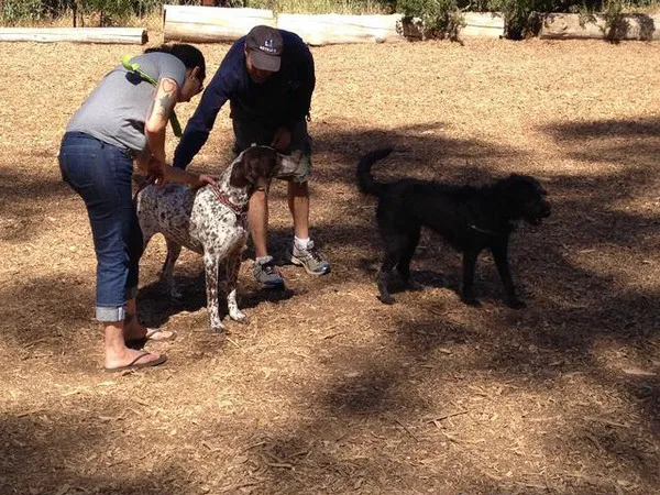 LEXI'S COMMUNITY DOG PARK 1