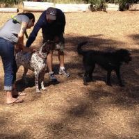 LEXI'S COMMUNITY DOG PARK ico