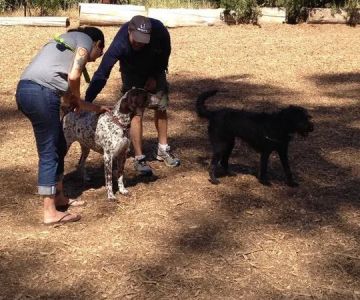 LEXI'S COMMUNITY DOG PARK