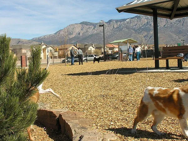 LEXI'S COMMUNITY DOG PARK 5