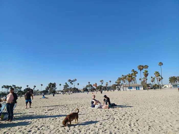 Rosie's Dog Beach 1