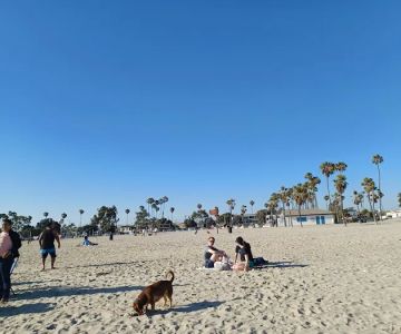 Rosie's Dog Beach
