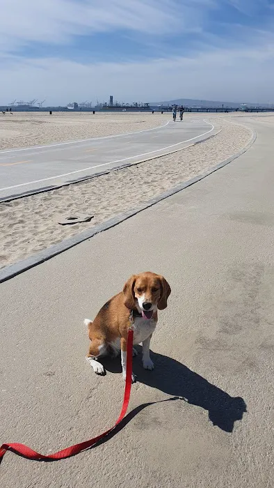 Rosie's Dog Beach 2