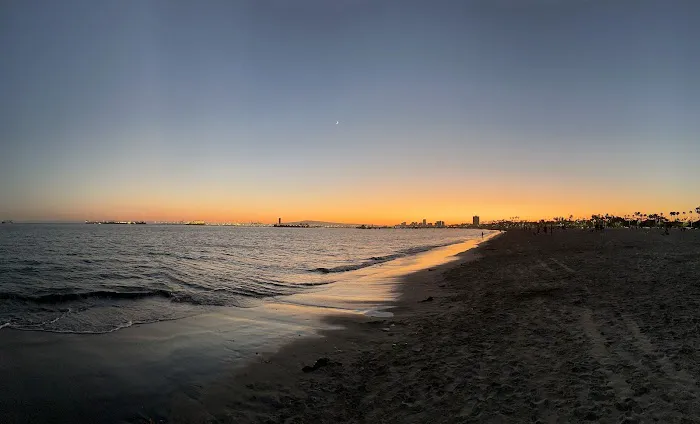 Rosie's Dog Beach 8