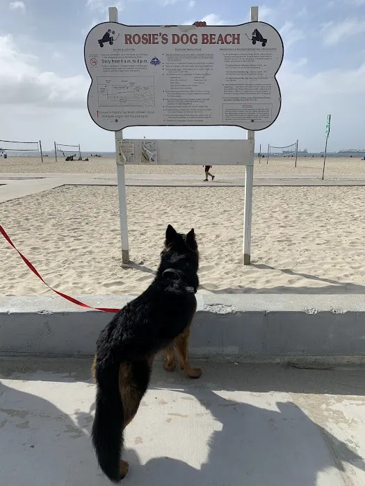 Rosie's Dog Beach 5