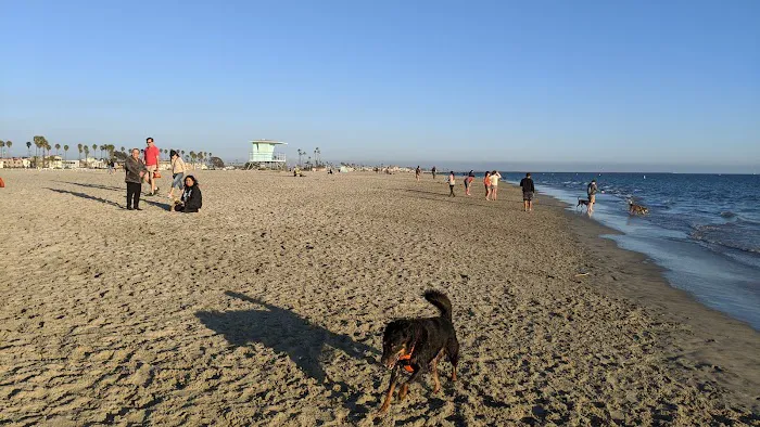 Rosie's Dog Beach 9