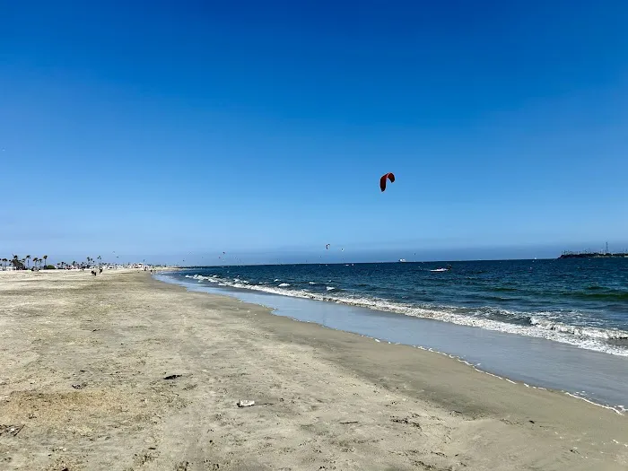 Rosie's Dog Beach 7