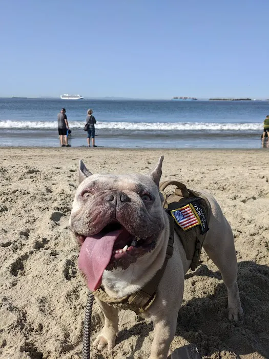 Rosie's Dog Beach 3