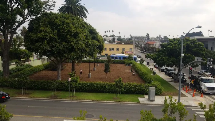 Pacific Street Park 1