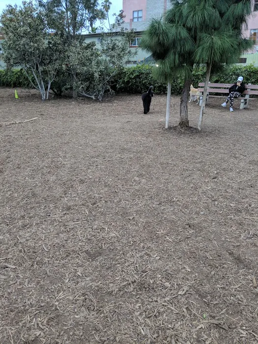 Pacific Street Park 4