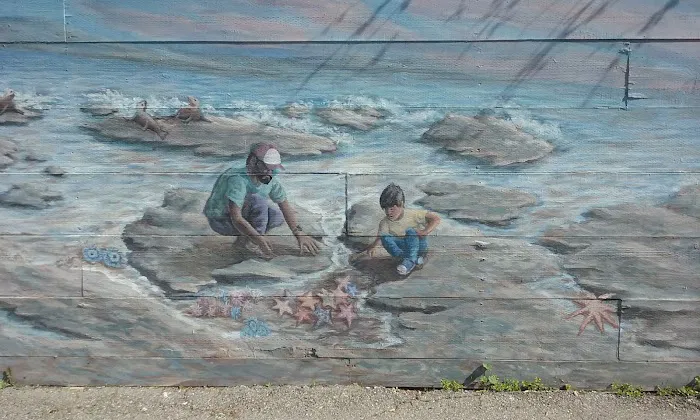 Pacific Street Park 10