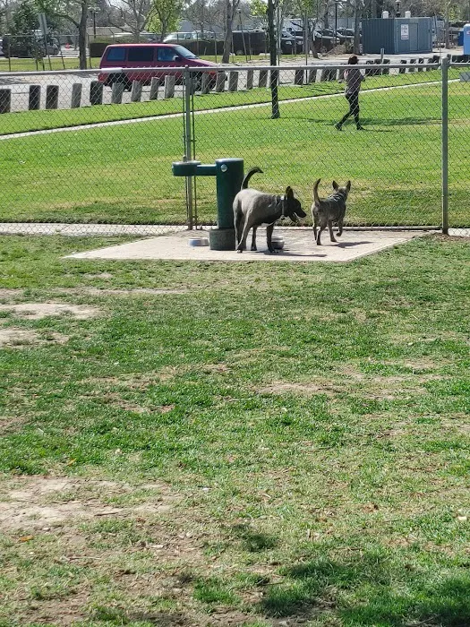 Bellis Park Dog Park 9