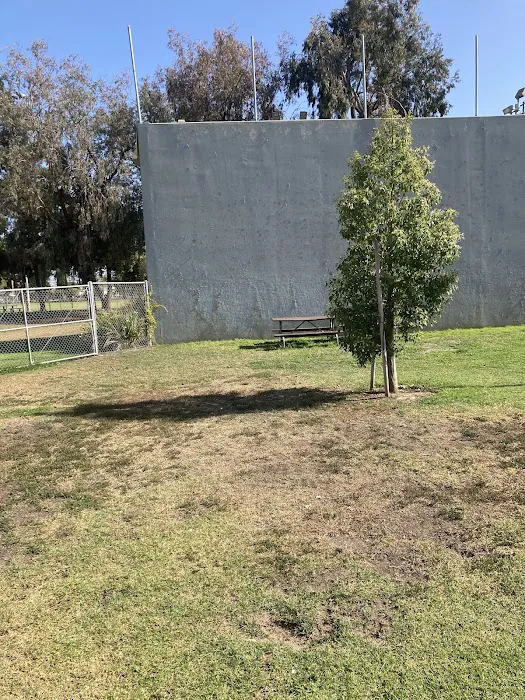 Bellis Park Dog Park 2