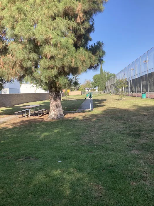 Bellis Park Dog Park 1