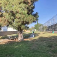 Bellis Park Dog Park ico