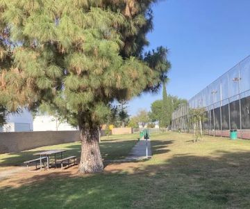 Bellis Park Dog Park