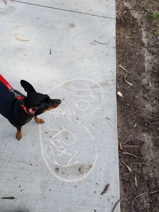 Bellis Park Dog Park 3