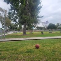 Fullerton Pooch Park ico