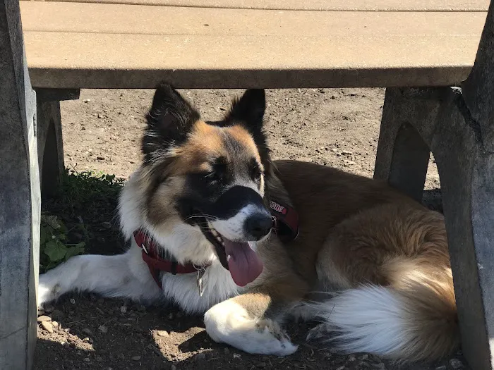 Fullerton Pooch Park 3