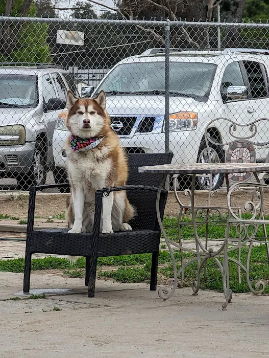 Fullerton Pooch Park 8