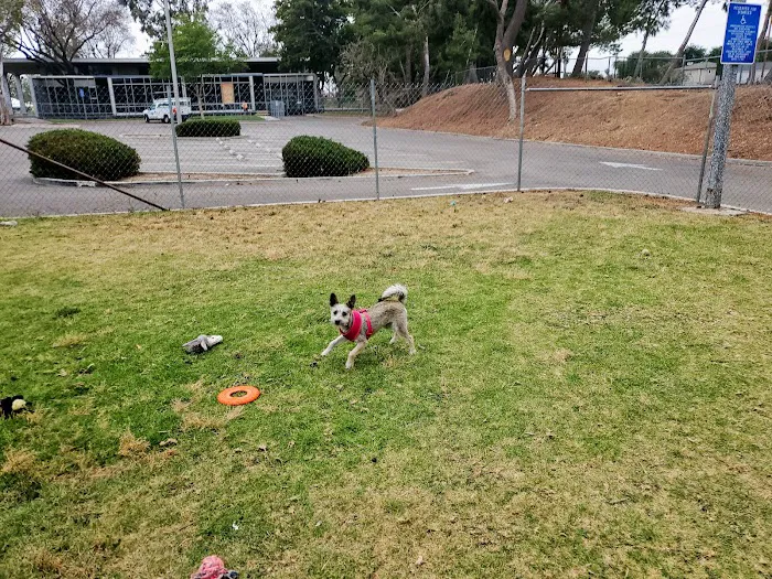 Fullerton Pooch Park 4