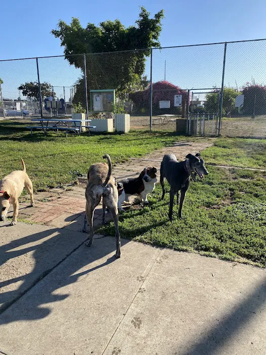 Fullerton Pooch Park 10