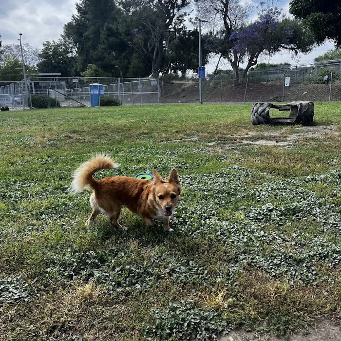 Fullerton Pooch Park 2