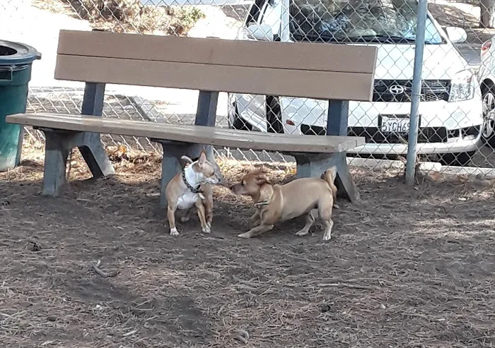 Fullerton Pooch Park 9