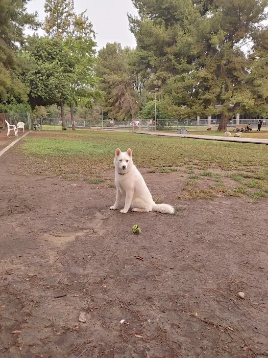 Fullerton Pooch Park 7