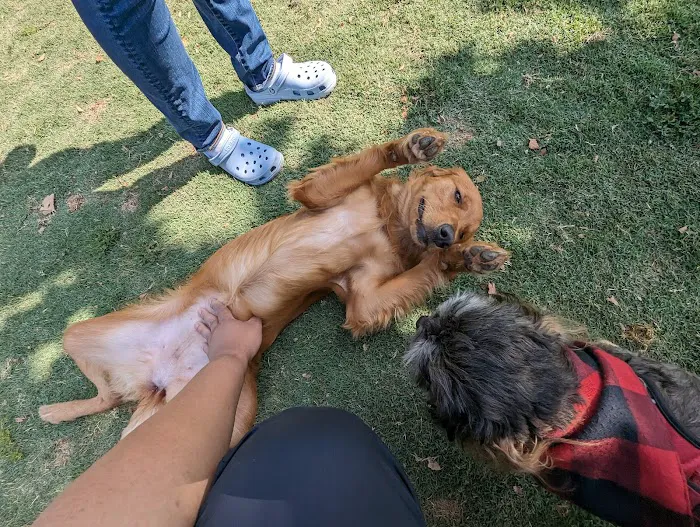 Schabarum Dog Park 5