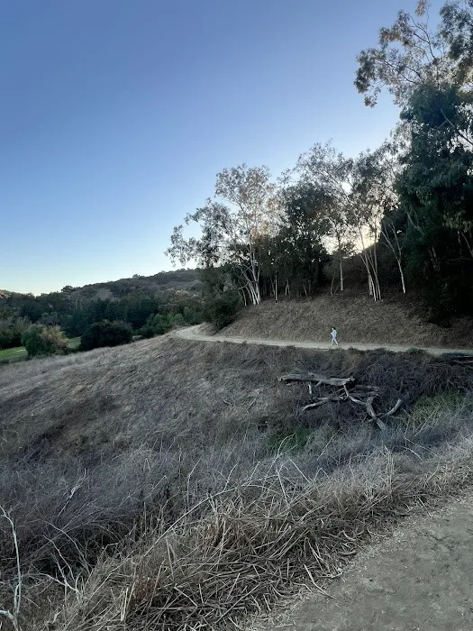 Schabarum Dog Park 4