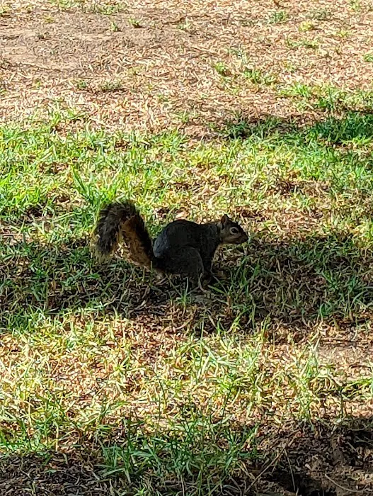 Schabarum Dog Park 2