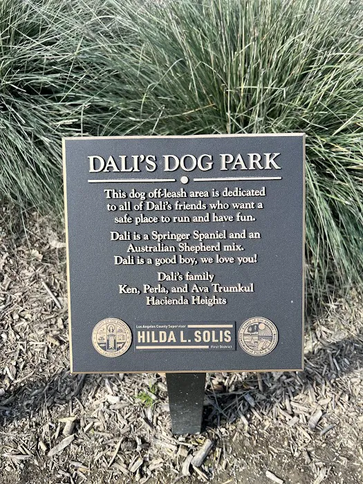 Schabarum Dog Park 6