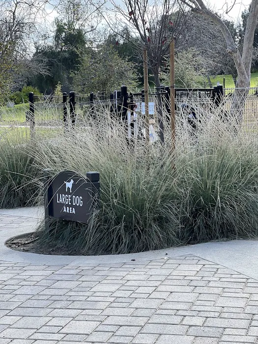 Dali’s Dog Park 4