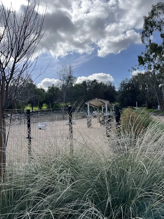 Dali’s Dog Park 5