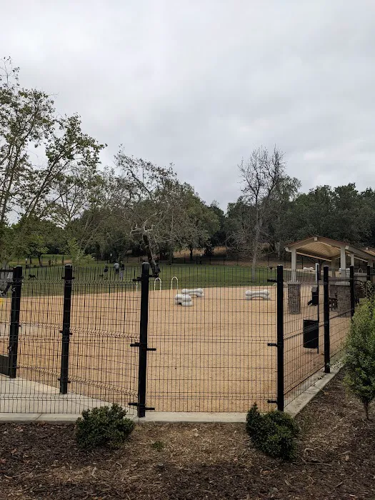 Dali’s Dog Park 10