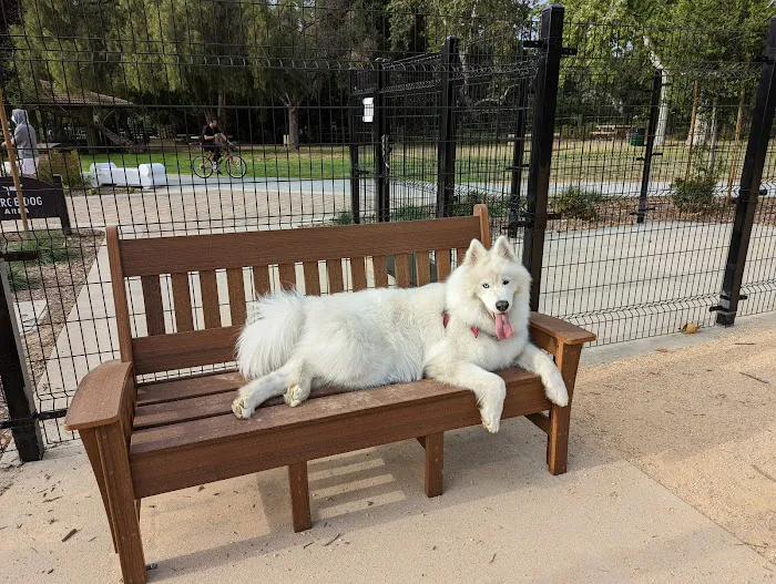 Dali’s Dog Park 3