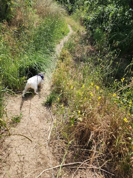 South Hills Park 7