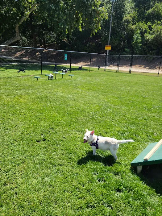 South Hills Park 9