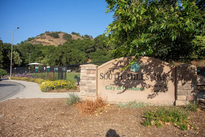 South Hills Park 5