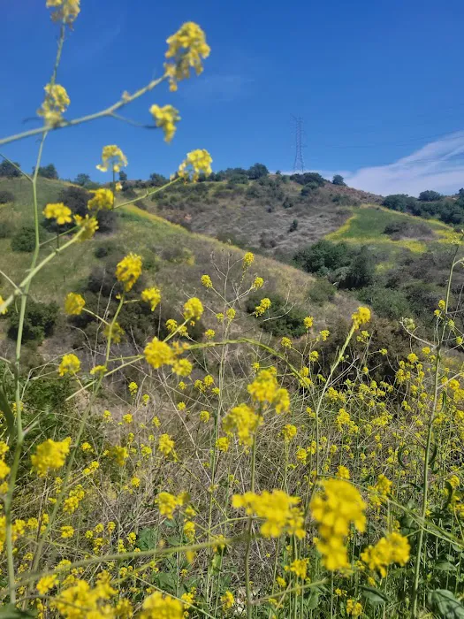 South Hills Park 2