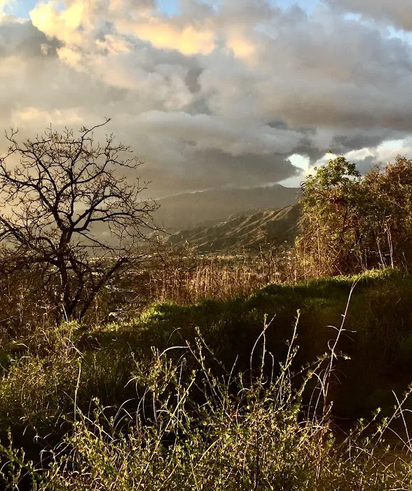South Hills Park 3