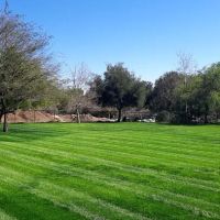 San Dimas Dog Park ico