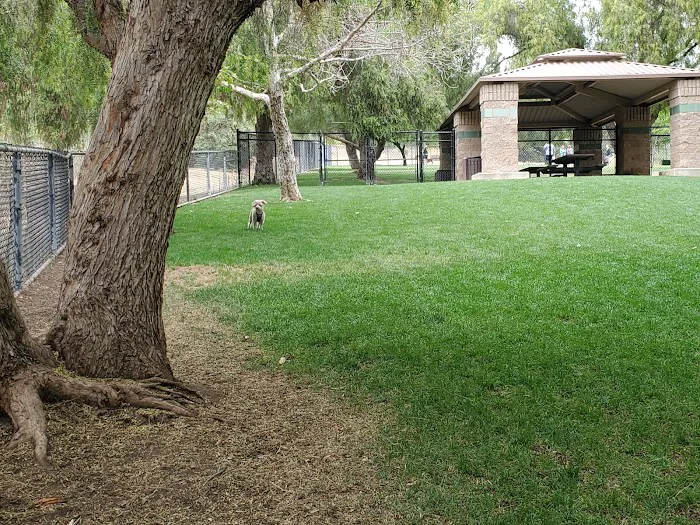 San Dimas Dog Park 10