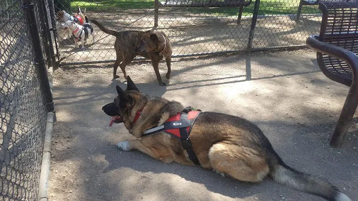 San Dimas Dog Park 4