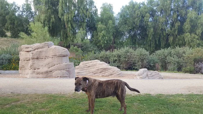 San Dimas Dog Park 3