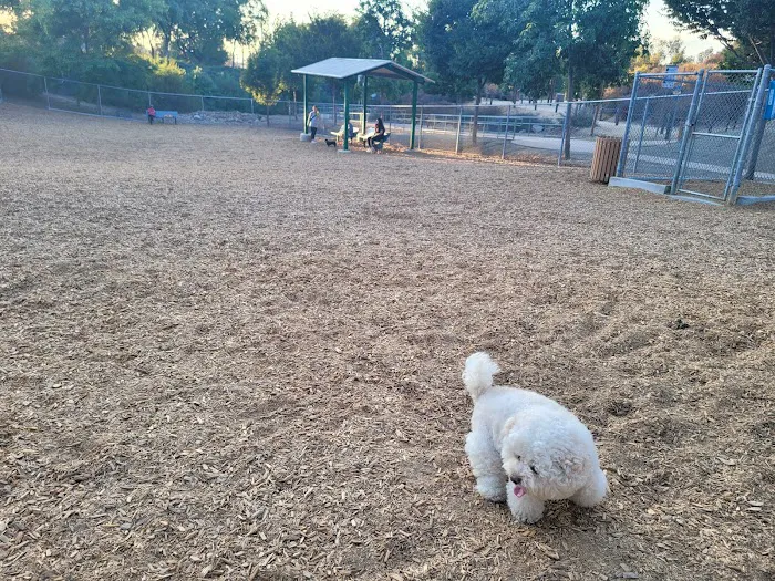 Pantera Dog Park 1