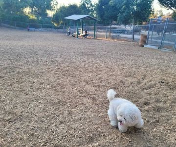 Pantera Dog Park