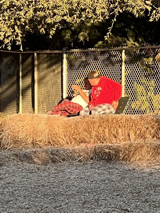 Pantera Dog Park 10