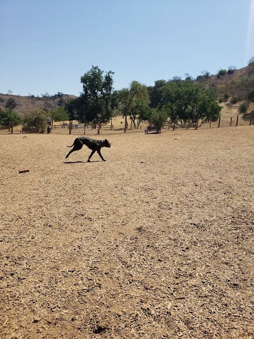 Dog park 3